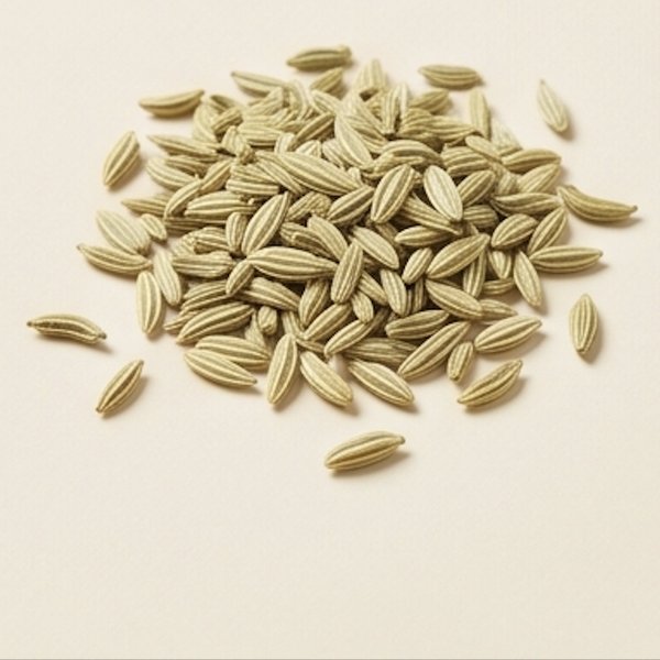 Fennel Seeds