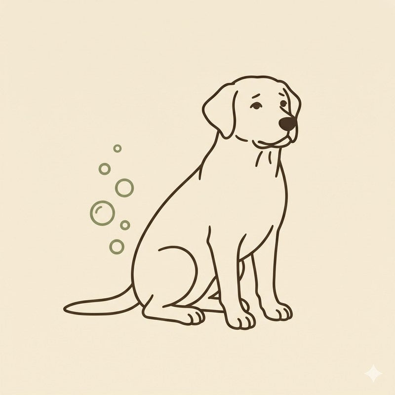 A dog with frequent gas